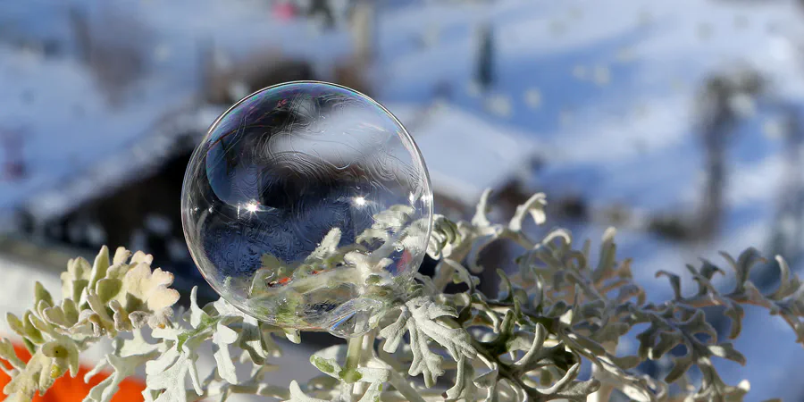 063 | 2021 | Berlin | Frozen Bubbles – Gefrorene Seifenblasen | © carsten riede fotografie