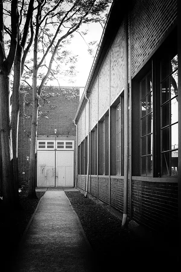 011 | 2021 | Berlin | Natur-Park Schöneberger Südgelände – ehemaliger Rangierbahnhof Tempelhof | © carsten riede fotografie