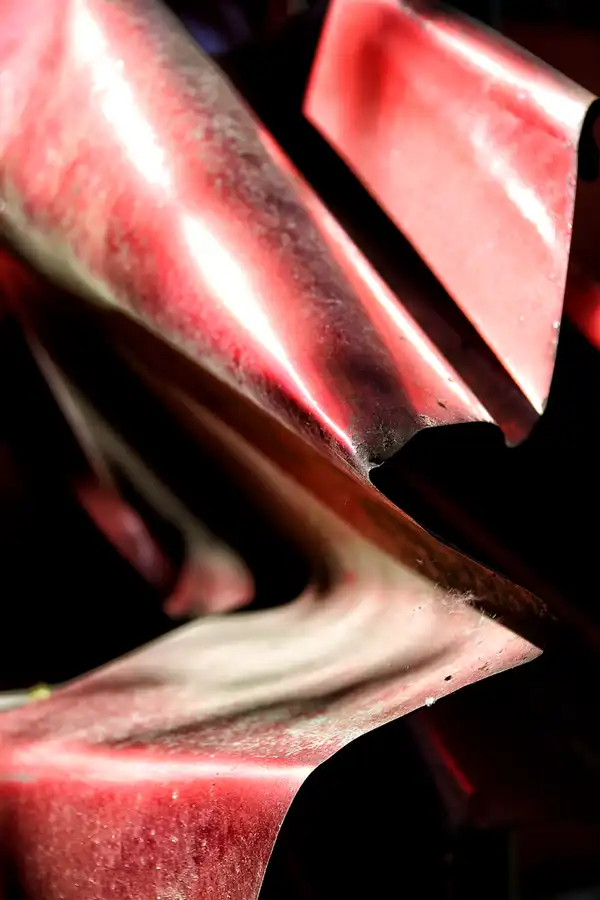 017 | 2021 | Berlin | Natur-Park Schöneberger Südgelände – ehemaliger Rangierbahnhof Tempelhof | © carsten riede fotografie