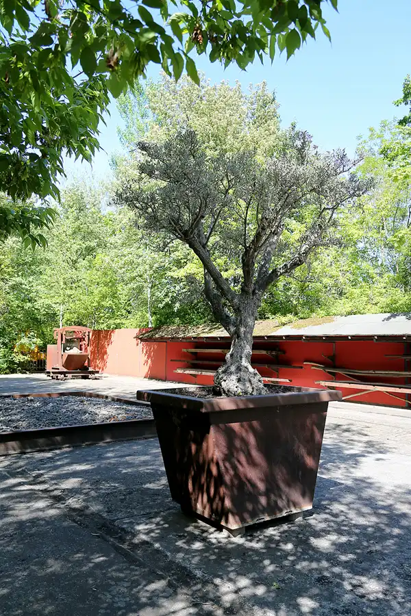 028 | 2021 | Berlin | Natur-Park Schöneberger Südgelände – ehemaliger Rangierbahnhof Tempelhof | © carsten riede fotografie