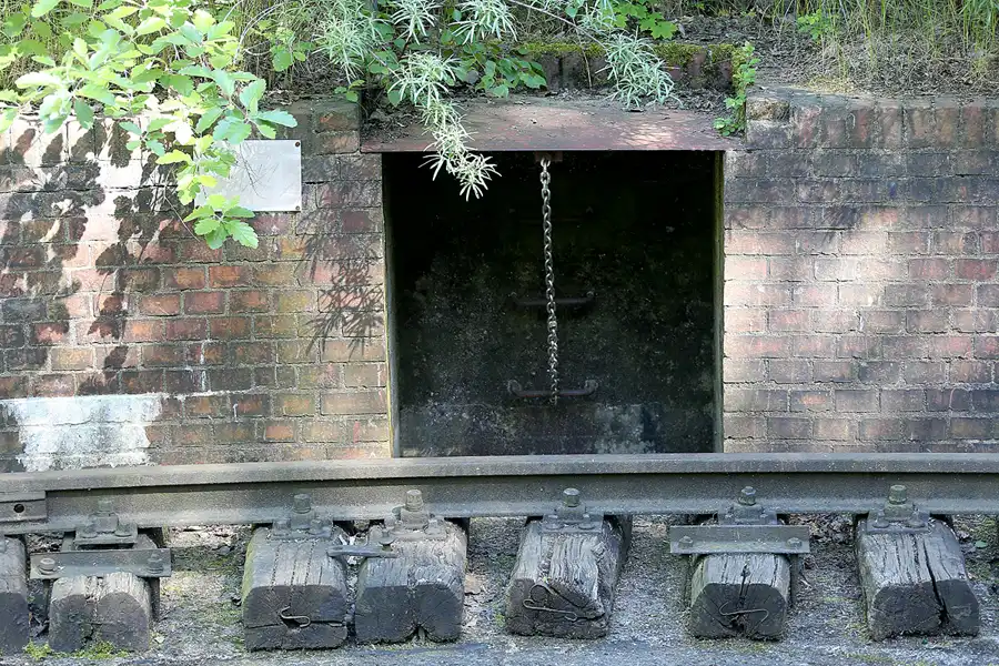 036 | 2021 | Berlin | Natur-Park Schöneberger Südgelände – ehemaliger Rangierbahnhof Tempelhof | © carsten riede fotografie