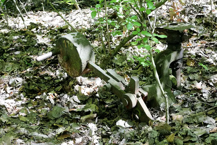 038 | 2021 | Berlin | Natur-Park Schöneberger Südgelände – ehemaliger Rangierbahnhof Tempelhof | © carsten riede fotografie