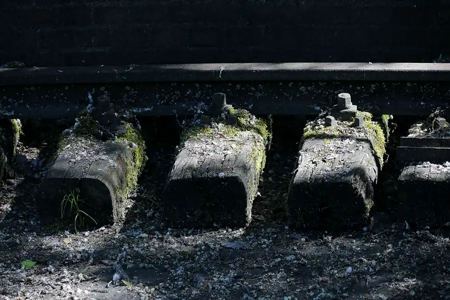 039 | 2021 | Berlin | Natur-Park Schöneberger Südgelände – ehemaliger Rangierbahnhof Tempelhof | © carsten riede fotografie