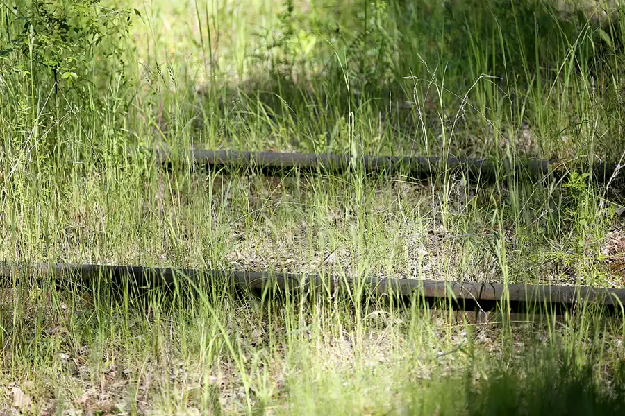 042 | 2021 | Berlin | Natur-Park Schöneberger Südgelände – ehemaliger Rangierbahnhof Tempelhof | © carsten riede fotografie