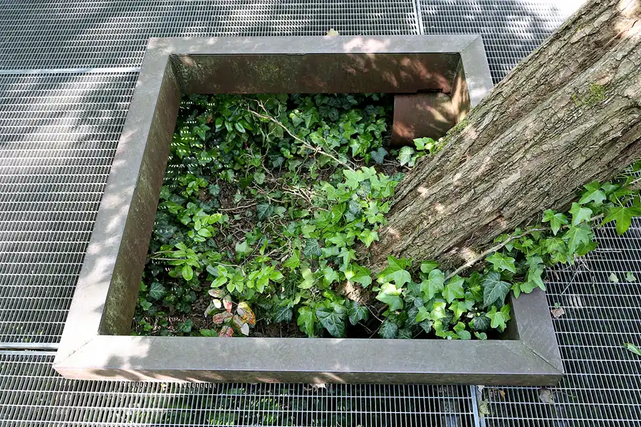 043 | 2021 | Berlin | Natur-Park Schöneberger Südgelände – ehemaliger Rangierbahnhof Tempelhof | © carsten riede fotografie