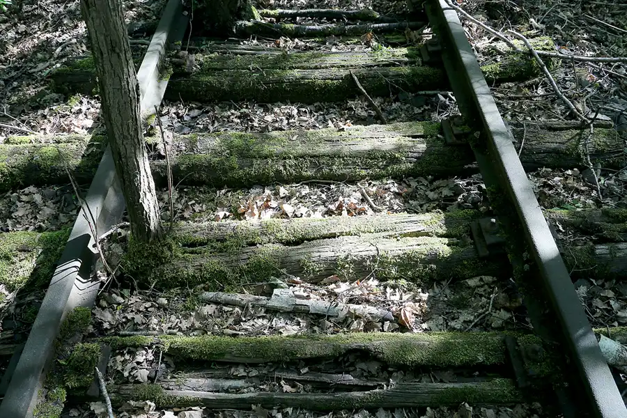 047 | 2021 | Berlin | Natur-Park Schöneberger Südgelände – ehemaliger Rangierbahnhof Tempelhof | © carsten riede fotografie