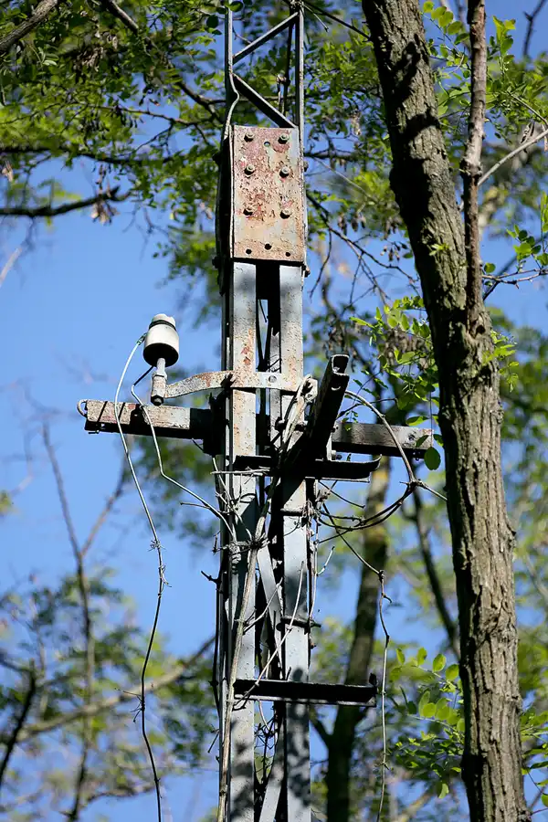050 | 2021 | Berlin | Natur-Park Schöneberger Südgelände – ehemaliger Rangierbahnhof Tempelhof | © carsten riede fotografie