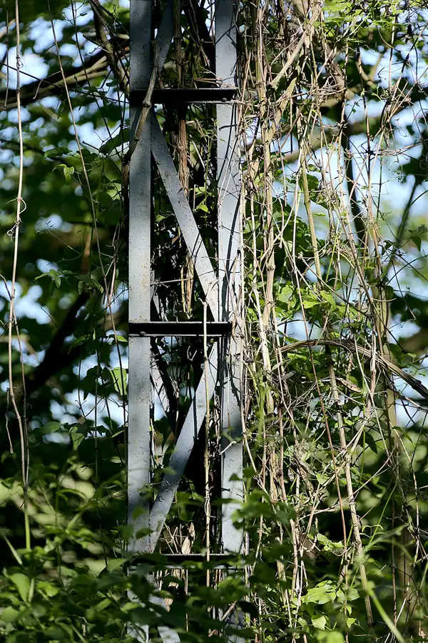 051 | 2021 | Berlin | Natur-Park Schöneberger Südgelände – ehemaliger Rangierbahnhof Tempelhof | © carsten riede fotografie