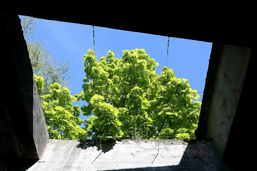 058 | 2021 | Berlin | Natur-Park Schöneberger Südgelände – ehemaliger Rangierbahnhof Tempelhof | © carsten riede fotografie