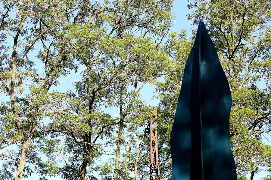 060 | 2021 | Berlin | Natur-Park Schöneberger Südgelände – ehemaliger Rangierbahnhof Tempelhof | © carsten riede fotografie