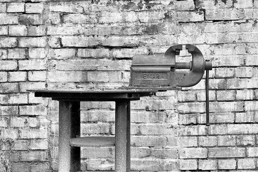 062 | 2021 | Berlin | Natur-Park Schöneberger Südgelände – ehemaliger Rangierbahnhof Tempelhof | © carsten riede fotografie