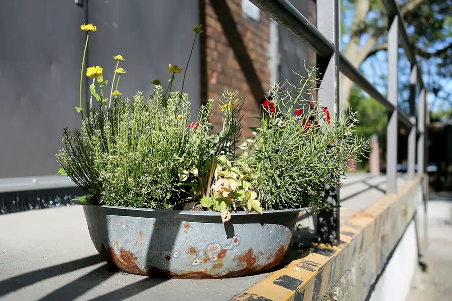 068 | 2021 | Berlin | Natur-Park Schöneberger Südgelände – ehemaliger Rangierbahnhof Tempelhof | © carsten riede fotografie