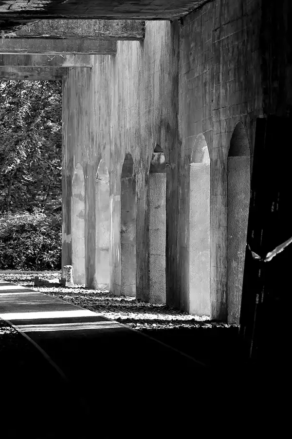 072 | 2021 | Berlin | Natur-Park Schöneberger Südgelände – ehemaliger Rangierbahnhof Tempelhof | © carsten riede fotografie