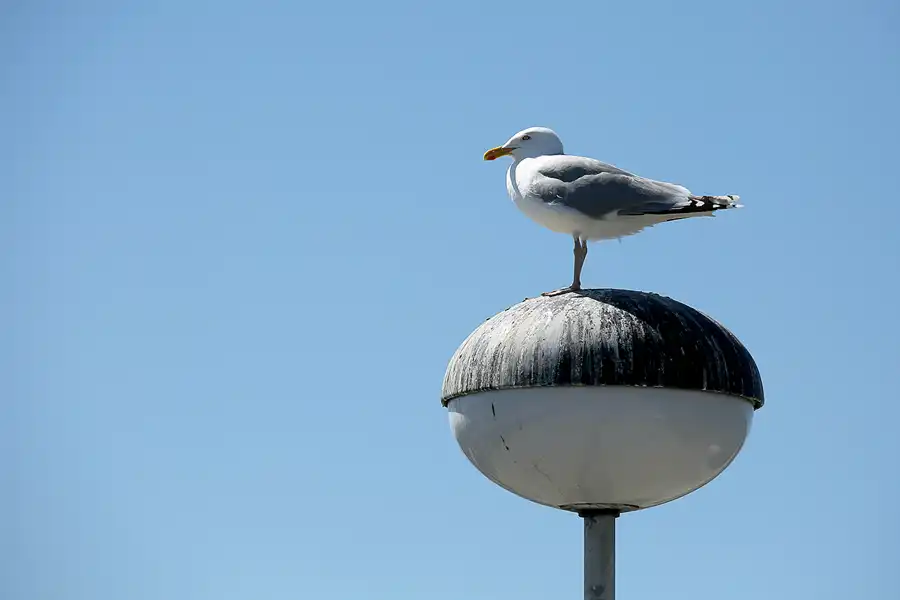 051 | 2021 | Sassnitz | © carsten riede fotografie
