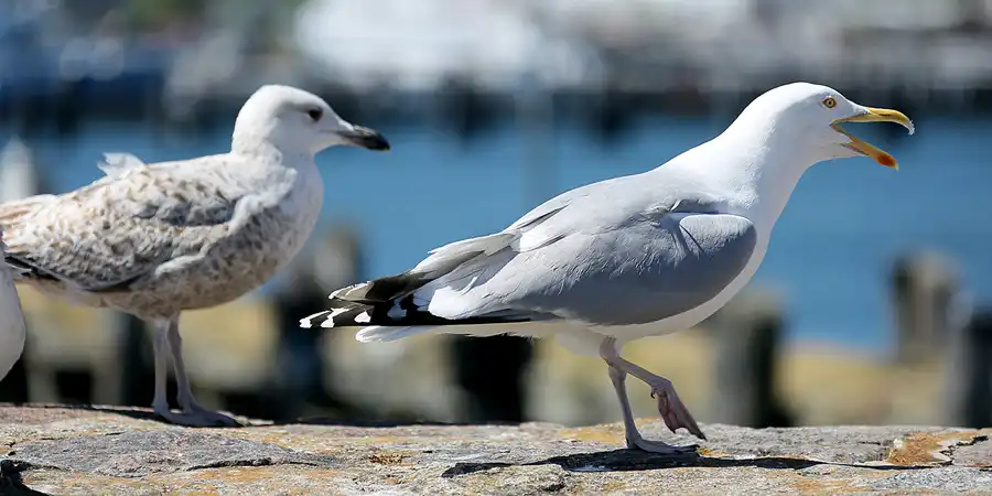 052 | 2021 | Sassnitz | © carsten riede fotografie