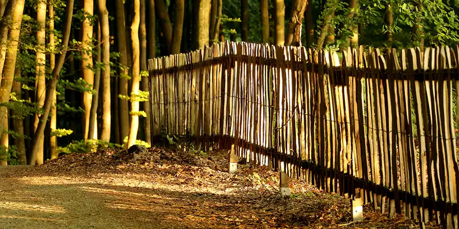 057 | 2021 | Stubbenkammer | © carsten riede fotografie