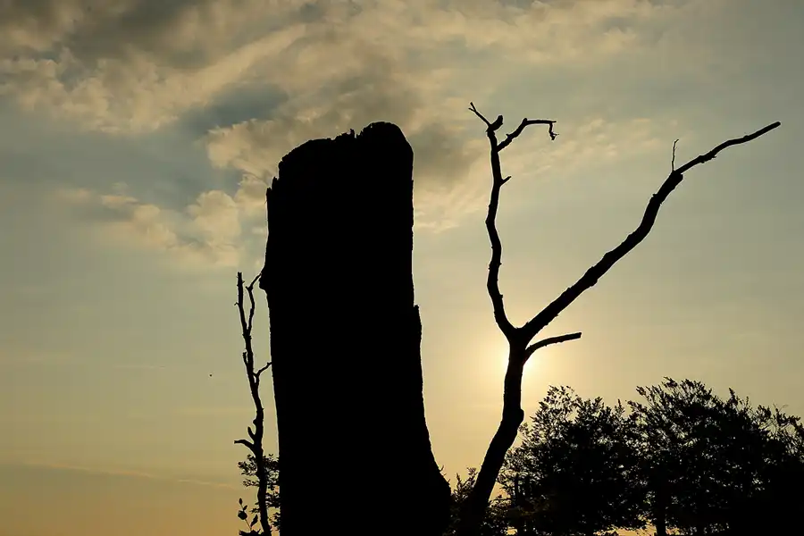 063 | 2021 | Stubbenkammer | Nationalpark-Zentrum Königsstuhl | © carsten riede fotografie