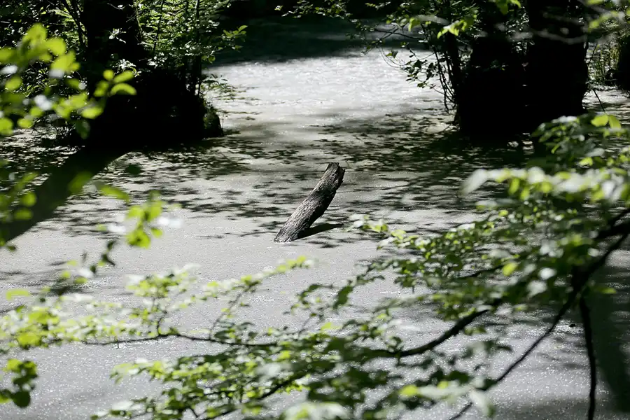 067 | 2021 | Stubbenkammer | Rund um den Herthasee | © carsten riede fotografie