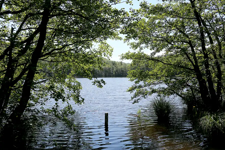 070 | 2021 | Stubbenkammer | Rund um den Herthasee | © carsten riede fotografie