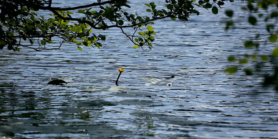 071 | 2021 | Stubbenkammer | Rund um den Herthasee | © carsten riede fotografie