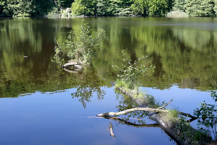073 | 2021 | Stubbenkammer | Rund um den Herthasee | © carsten riede fotografie