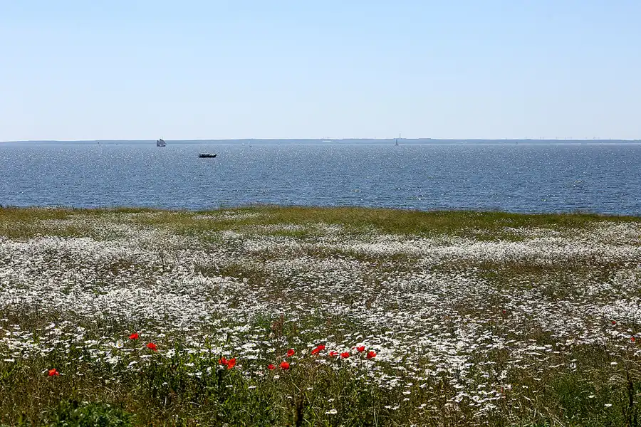 080 | 2021 | Klein Zicker | © carsten riede fotografie