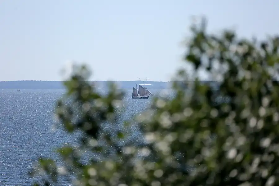 082 | 2021 | Klein Zicker | © carsten riede fotografie