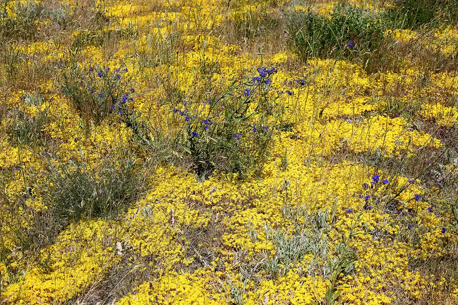 089 | 2021 | Klein Zicker | © carsten riede fotografie