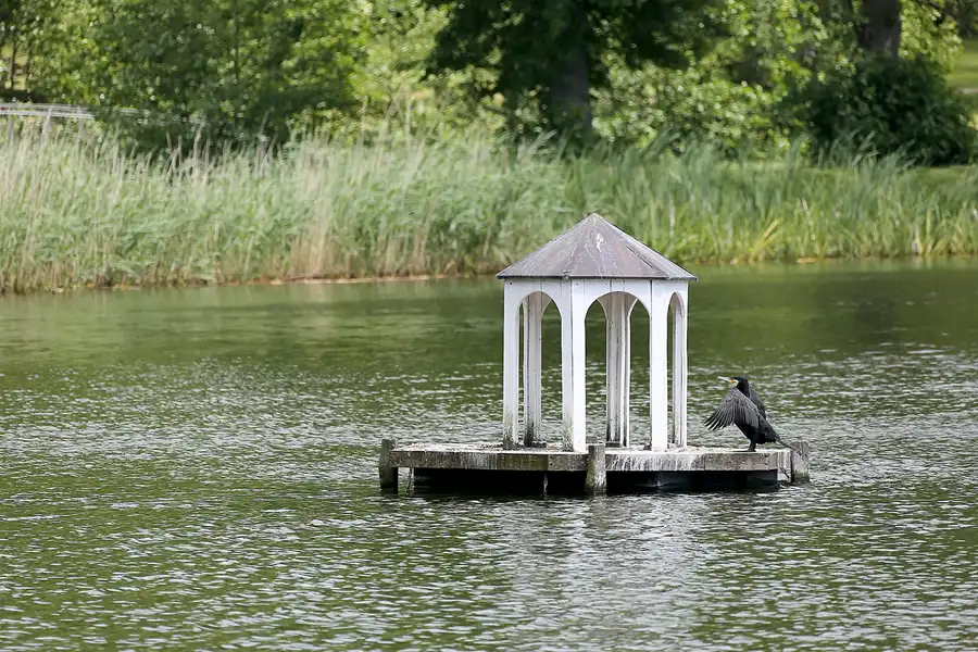 111 | 2021 | Putbus | © carsten riede fotografie
