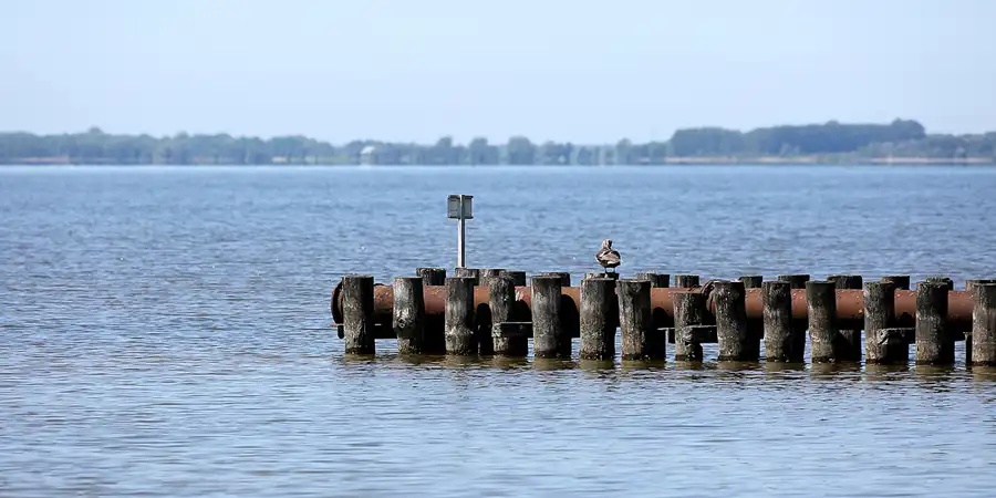 157 | 2021 | Lietzow | © carsten riede fotografie