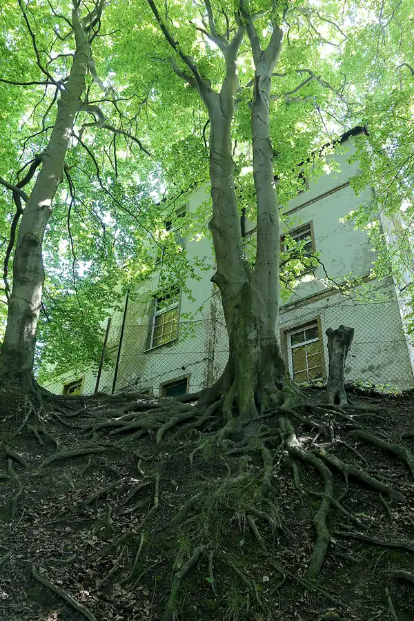 169 | 2021 | Lohme | © carsten riede fotografie