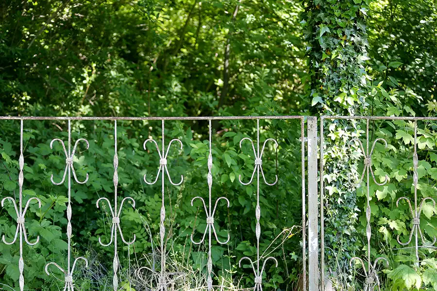 170 | 2021 | Lohme | © carsten riede fotografie