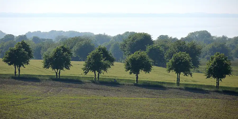 171 | 2021 | Lohme | © carsten riede fotografie