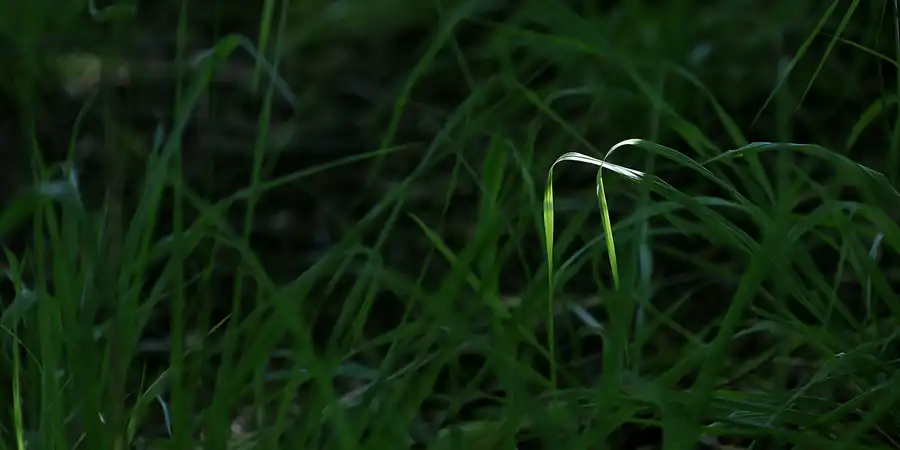 185 | 2021 | Schwirenz | © carsten riede fotografie