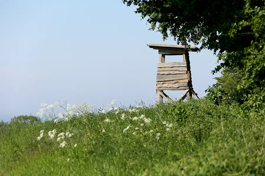 186 | 2021 | Schwirenz | © carsten riede fotografie