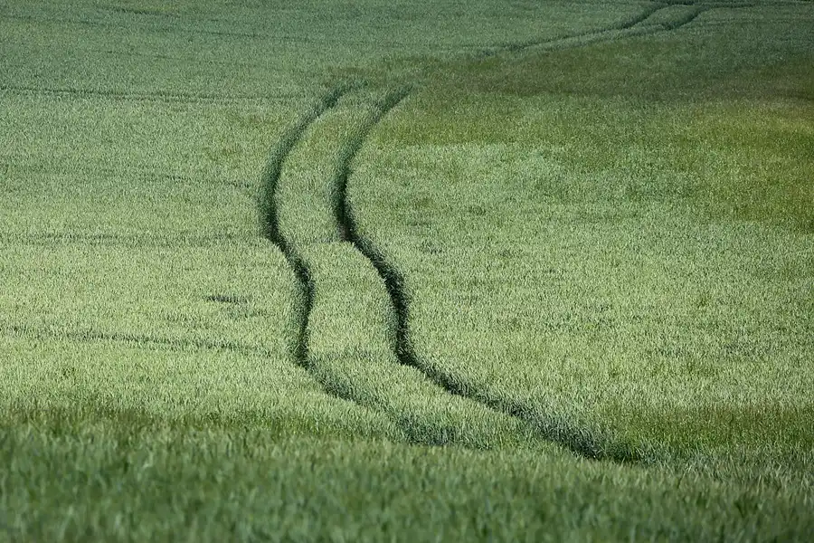 188 | 2021 | Gummanz | © carsten riede fotografie