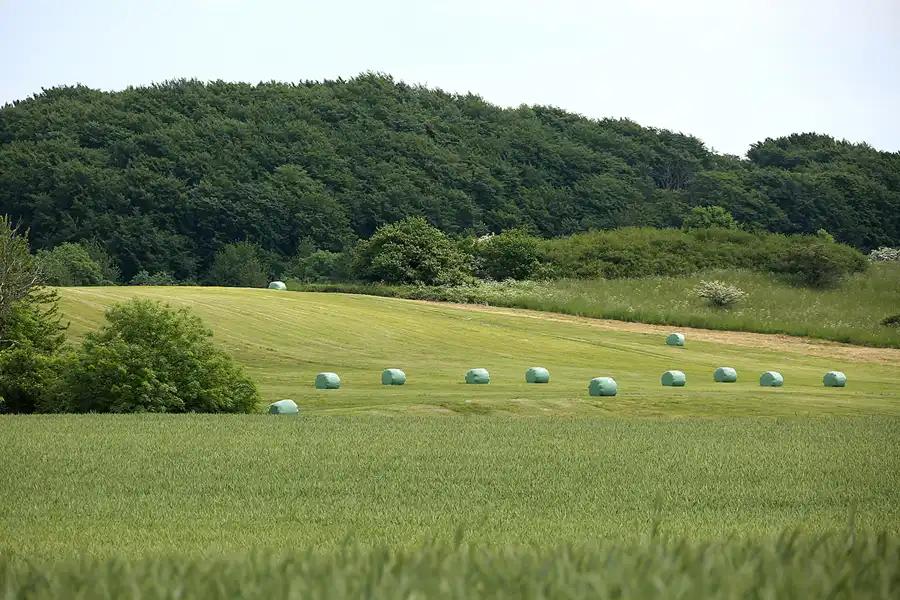 189 | 2021 | Gummanz | © carsten riede fotografie