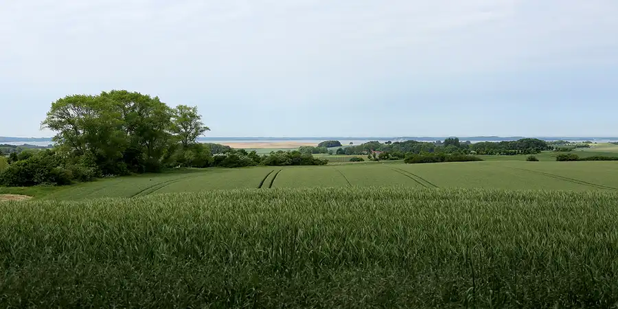 190 | 2021 | Gummanz | © carsten riede fotografie