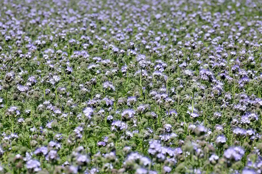 202 | 2021 | Trent | © carsten riede fotografie