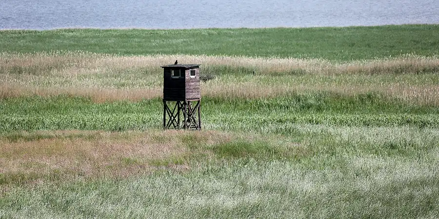 203 | 2021 | Moritzdorf | © carsten riede fotografie