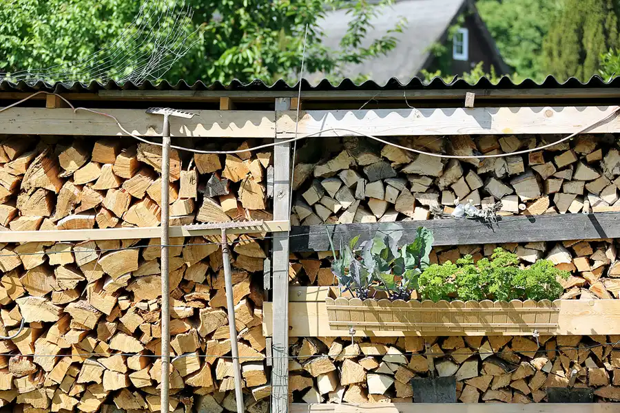 206 | 2021 | Moritzdorf | © carsten riede fotografie