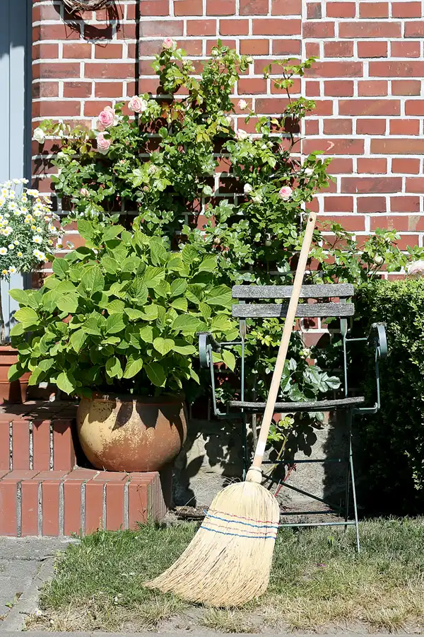 208 | 2021 | Moritzdorf | © carsten riede fotografie