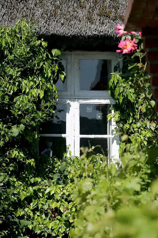 210 | 2021 | Moritzdorf | © carsten riede fotografie