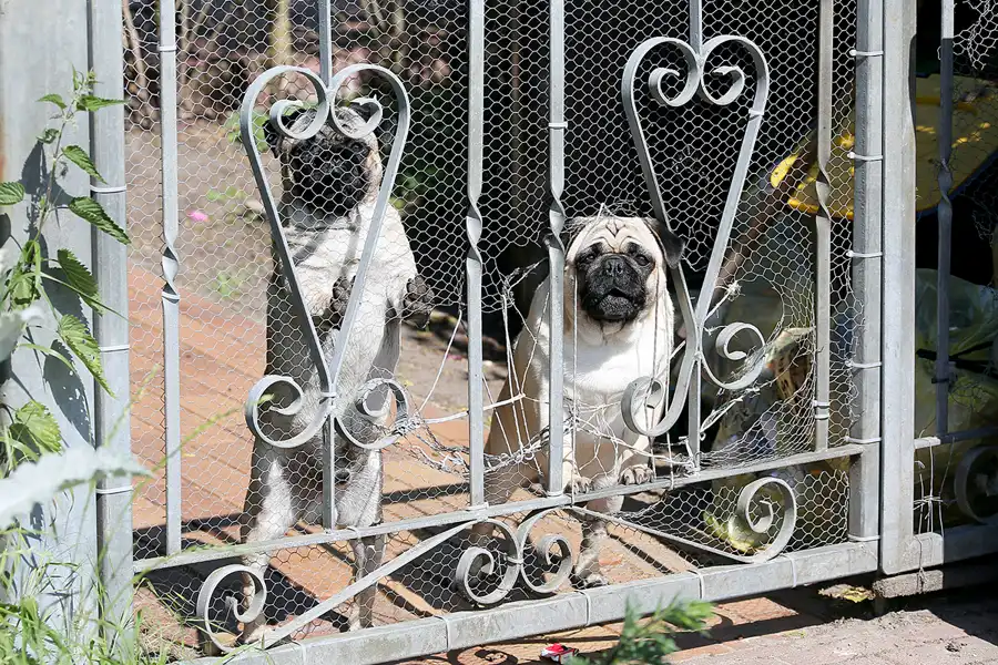 211 | 2021 | Moritzdorf | © carsten riede fotografie