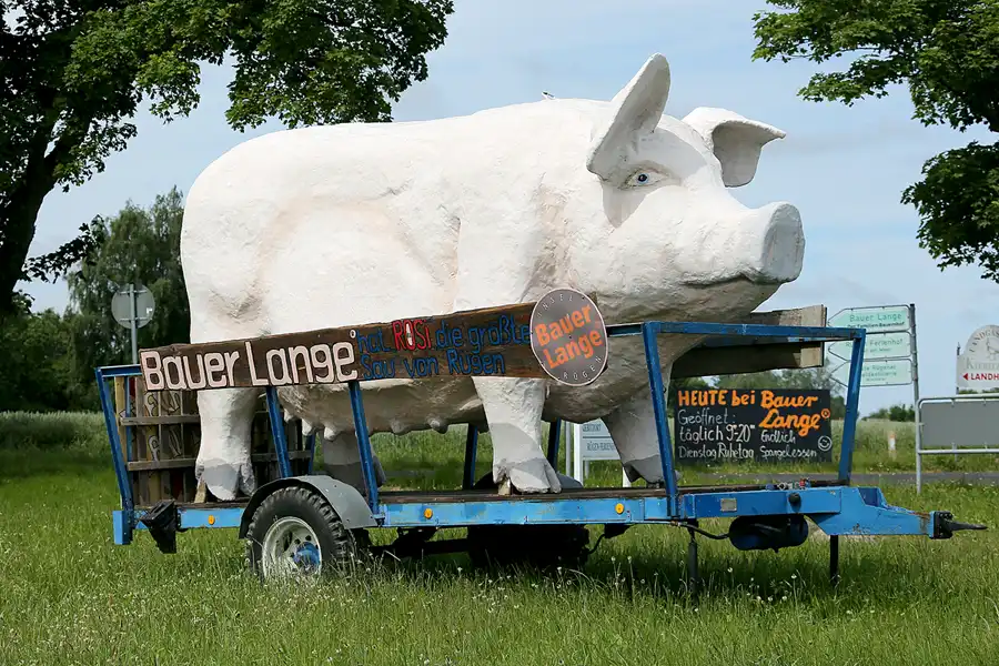 213 | 2021 | Mursewiek | © carsten riede fotografie