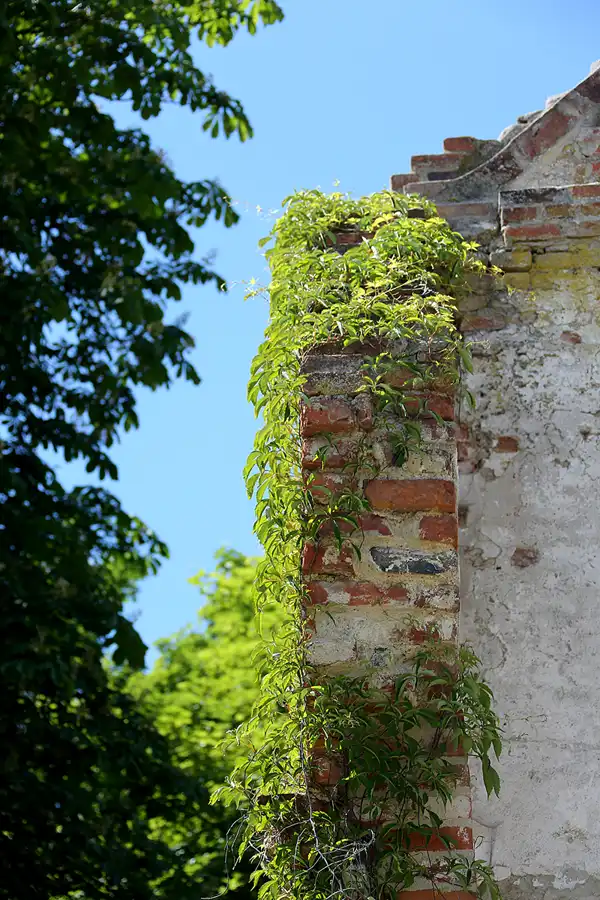 224 | 2021 | Pansevitz | Schlossruine Pansevitz | © carsten riede fotografie
