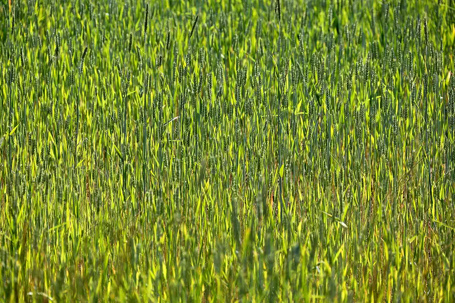 226 | 2021 | Seelvitz | © carsten riede fotografie