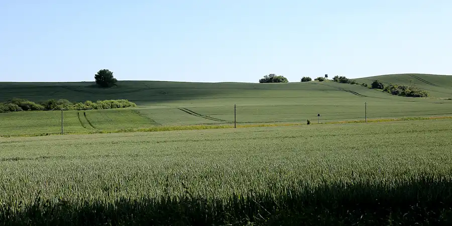 227 | 2021 | Seelvitz | © carsten riede fotografie