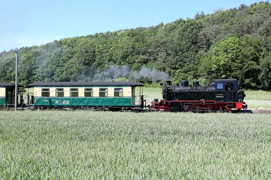 229 | 2021 | Seelvitz | Rasender Roland | © carsten riede fotografie
