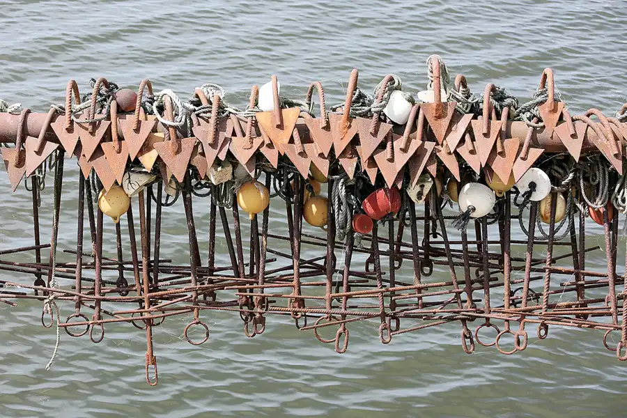 241 | 2021 | Insel Ummanz – Waase | © carsten riede fotografie